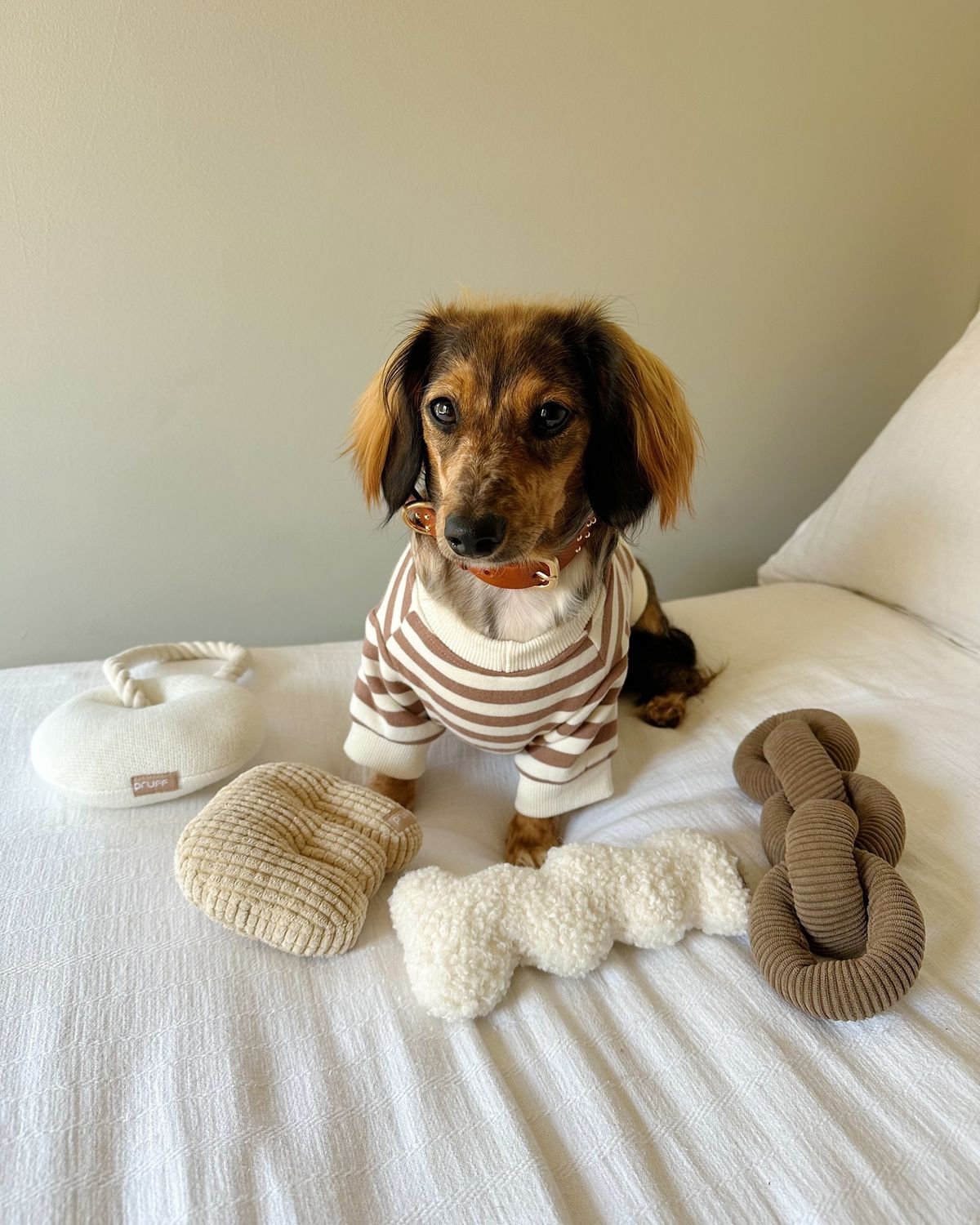 Comfortable everyday pet living