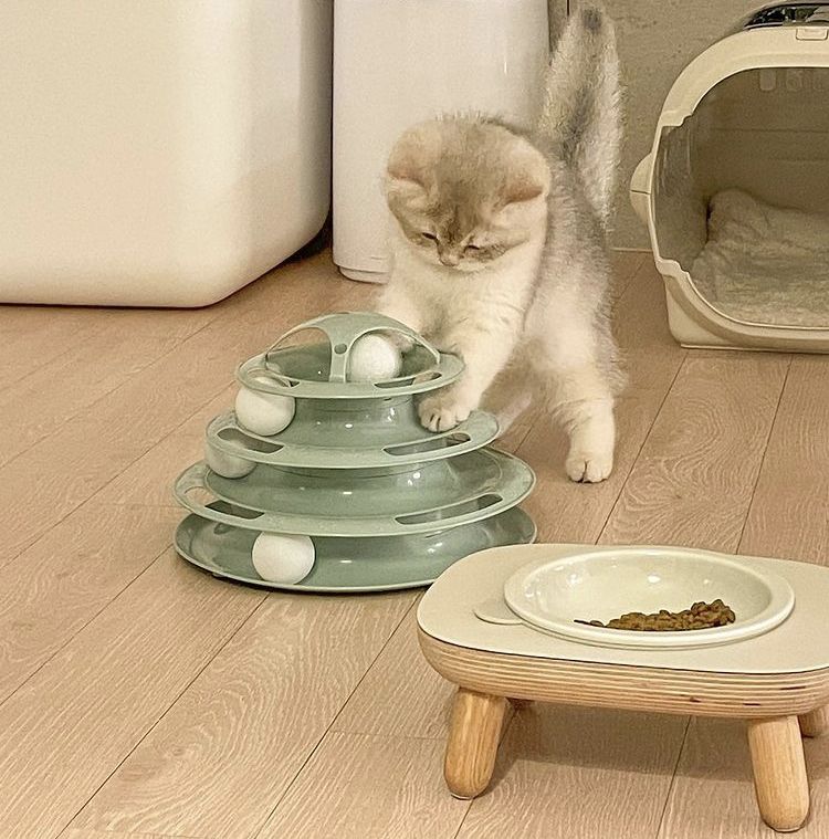 Cat Toys