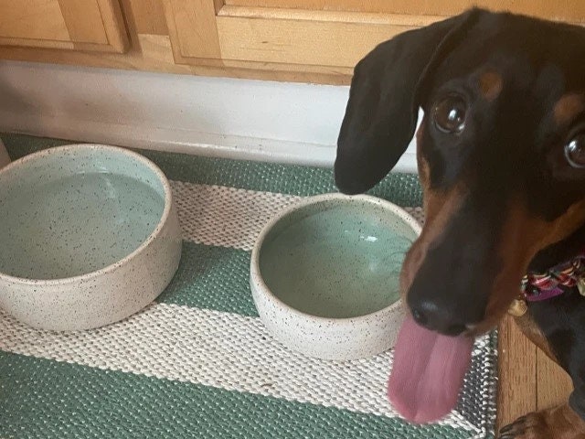 Food or Water Handmade Ceramic Dog Bowl | Pottery | Dog Feeder - Image 8