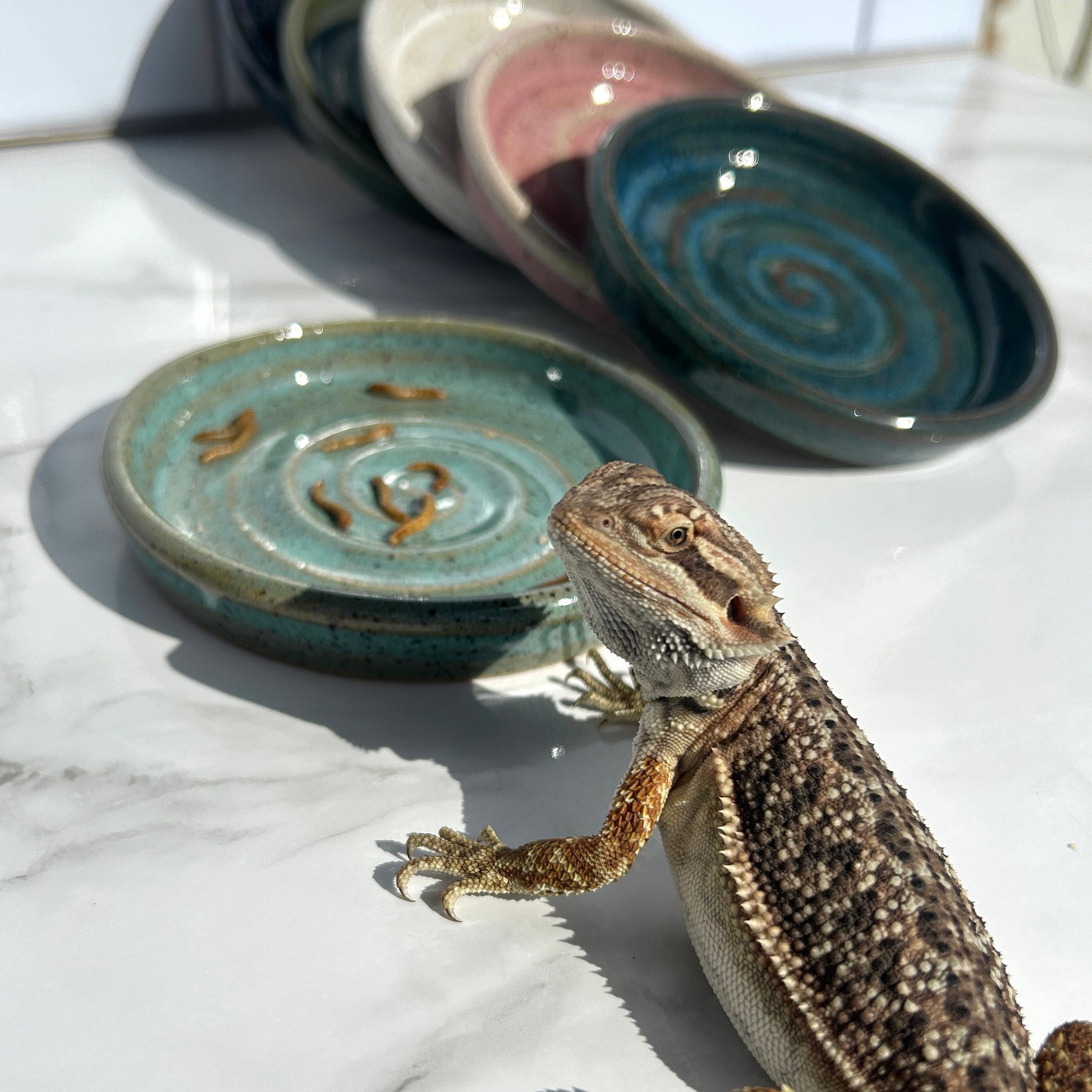 Handmade Ceramic Reptile Bowl: Shallow Lizard Dish, Food & Water