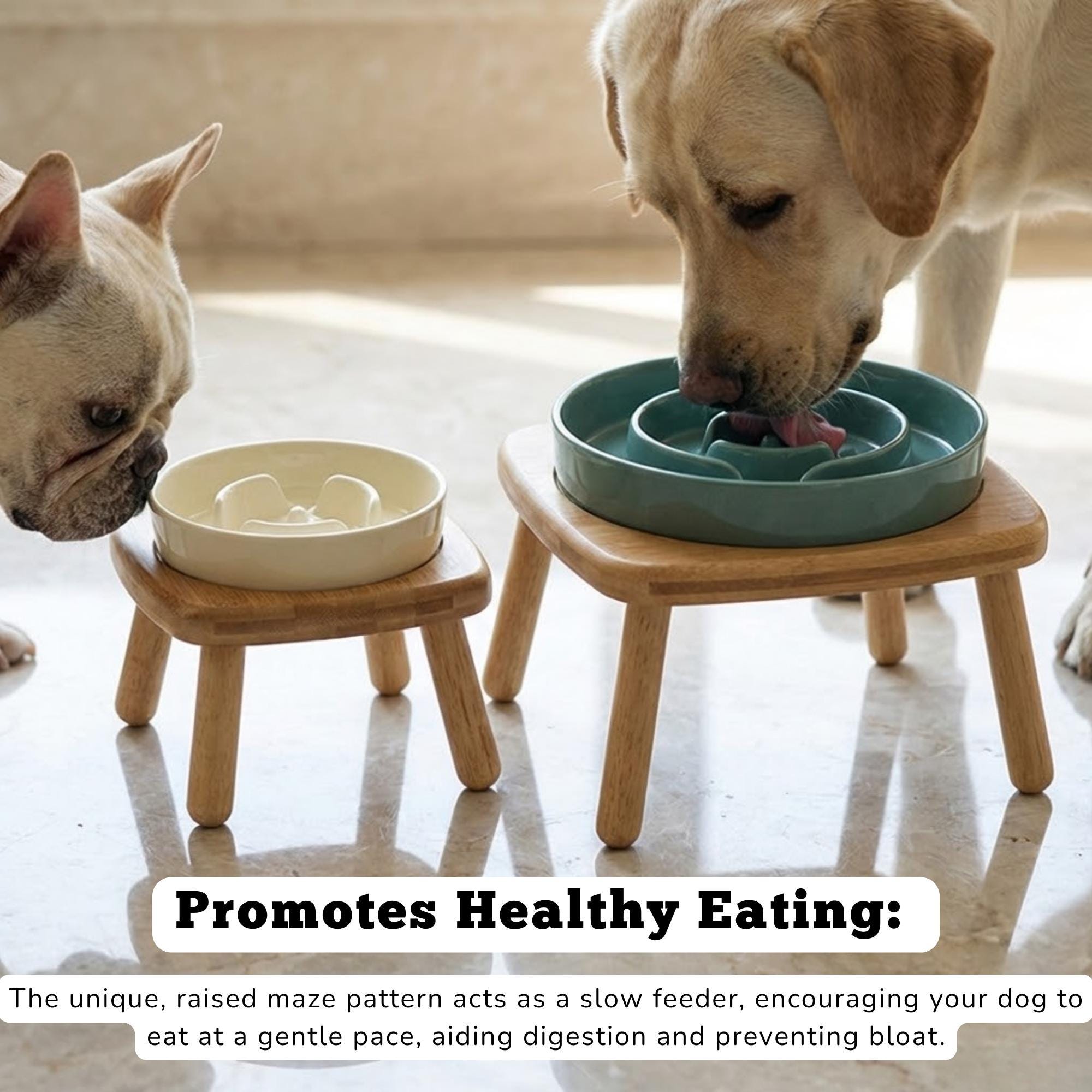 Elevated Ceramic Slow Feeder Dog Bowl with Anti-Slip Bamboo Stand - For Large Breeds - Image 5