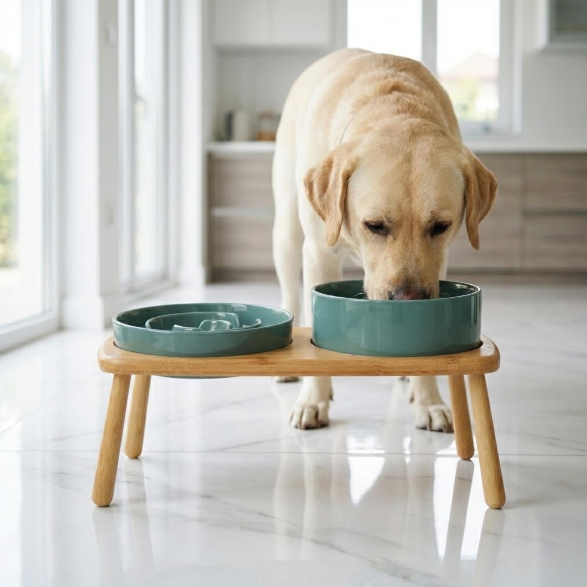 Elevated Ceramic Slow Feeder Dog Bowl with Anti-Slip Bamboo Stand - For Large Breeds - Image 14