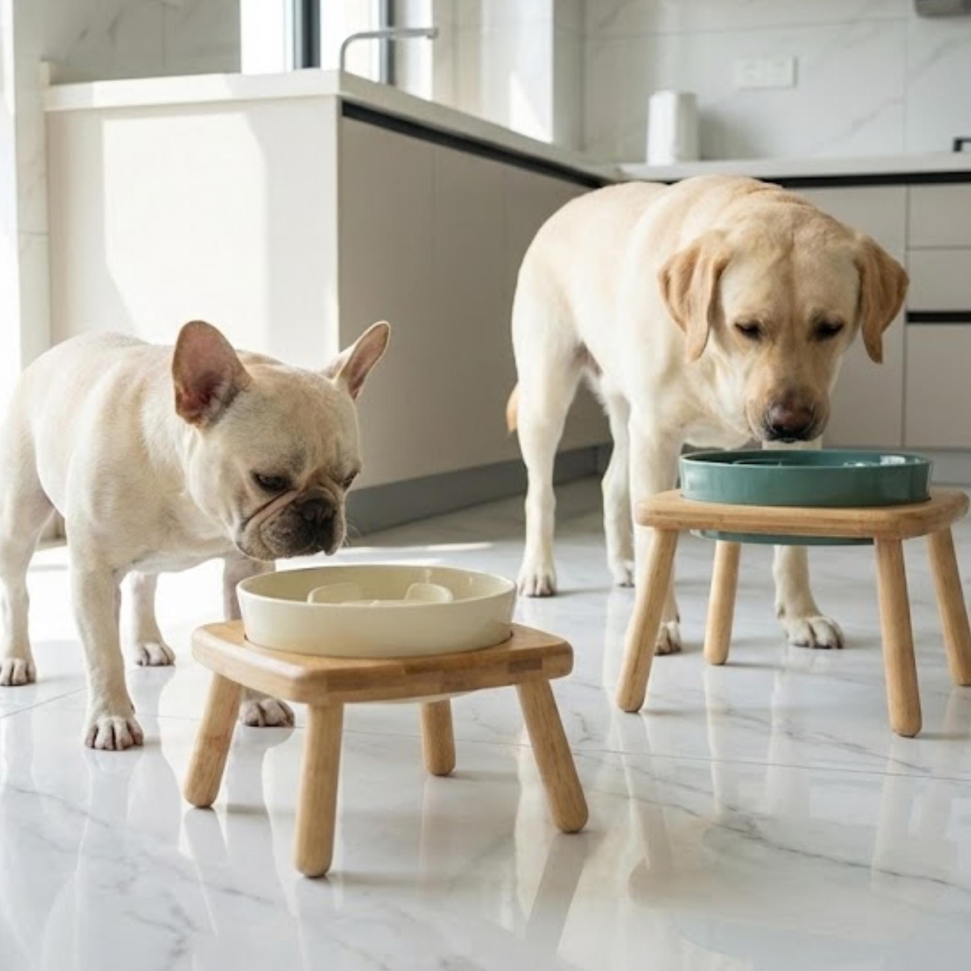 Elevated Ceramic Slow Feeder Dog Bowl with Anti-Slip Bamboo Stand - For Large Breeds - Image 6