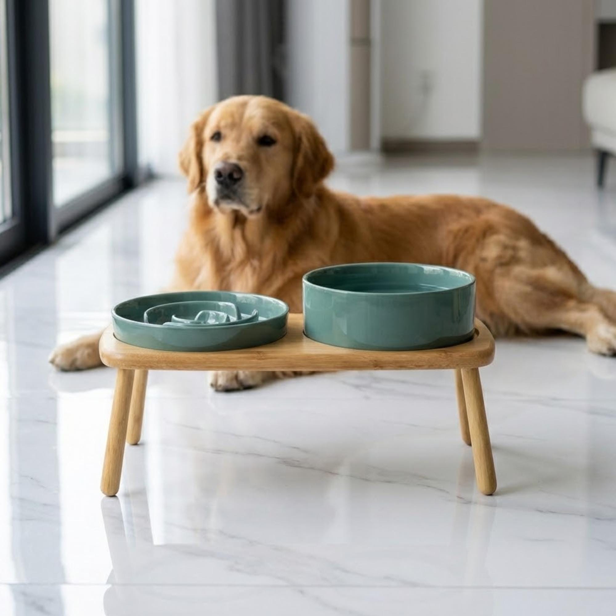 Elevated Ceramic Slow Feeder Dog Bowl with Anti-Slip Bamboo Stand - For Large Breeds - Image 11