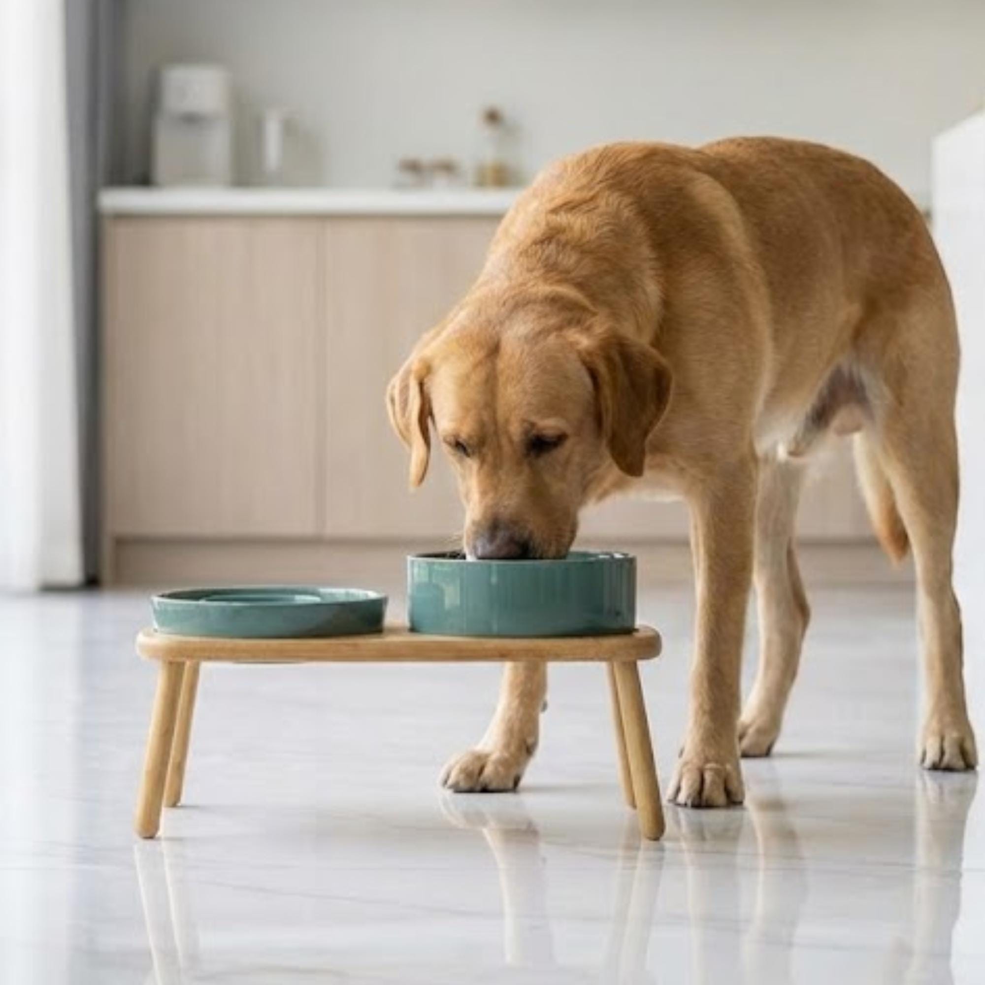 Elevated Ceramic Slow Feeder Dog Bowl with Anti-Slip Bamboo Stand - For Large Breeds - Image 15