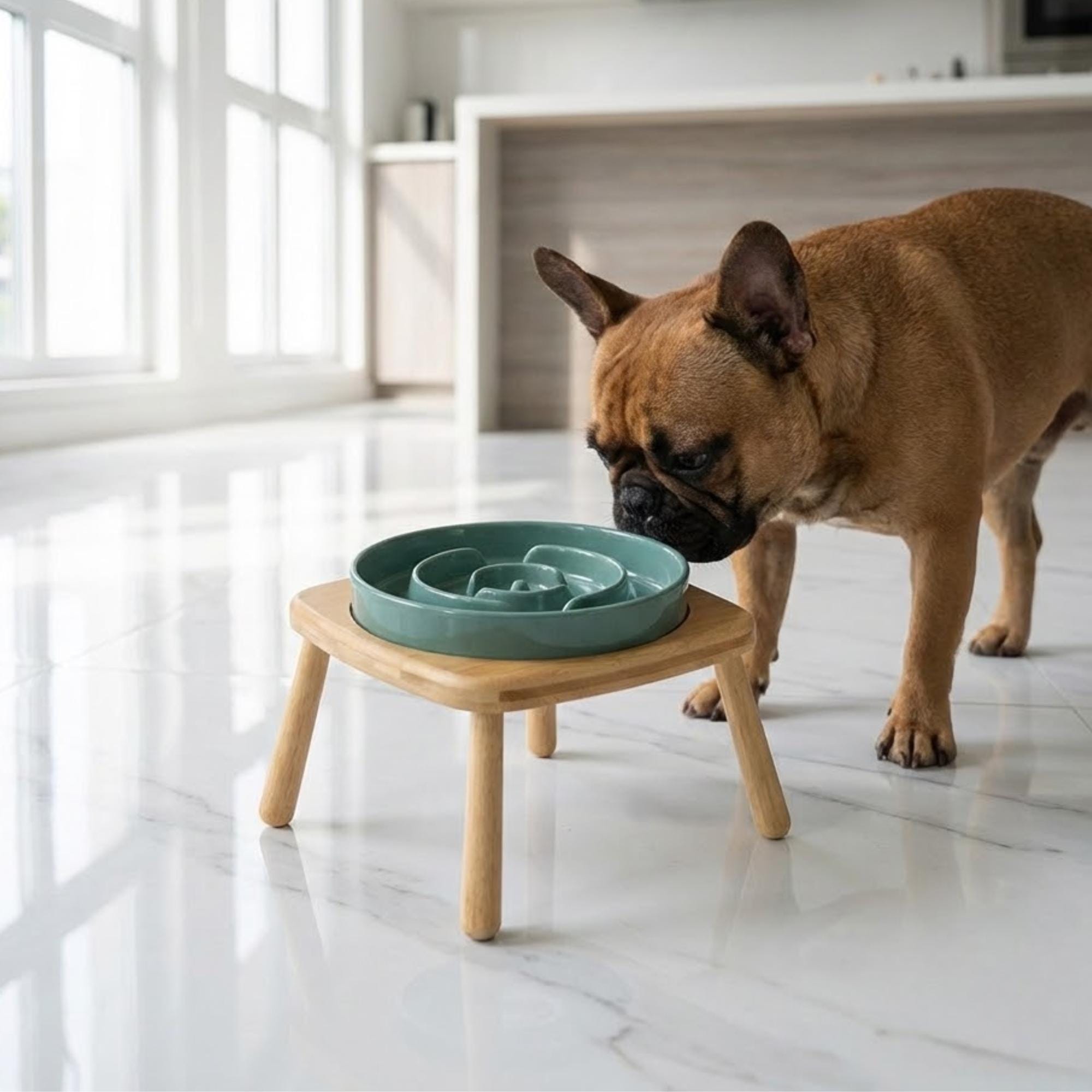 Elevated Ceramic Slow Feeder Dog Bowl with Anti-Slip Bamboo Stand - For Large Breeds - Image 12