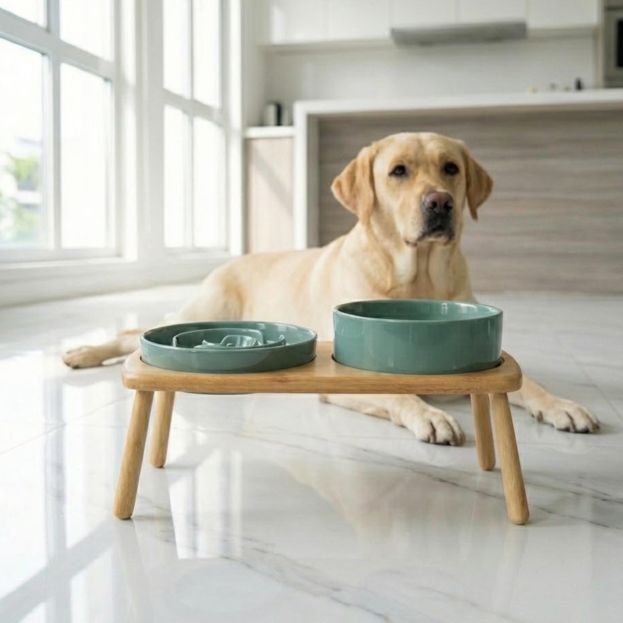 Elevated Ceramic Slow Feeder Dog Bowl with Anti-Slip Bamboo Stand - For Large Breeds - Image 16