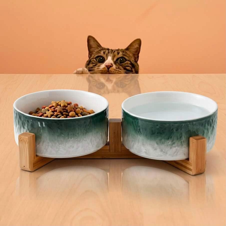 Ceramic Pet Bowl with Wooden Stand, Raised Cat Dog Feeder, Ombre Glaze Colors - Image 2
