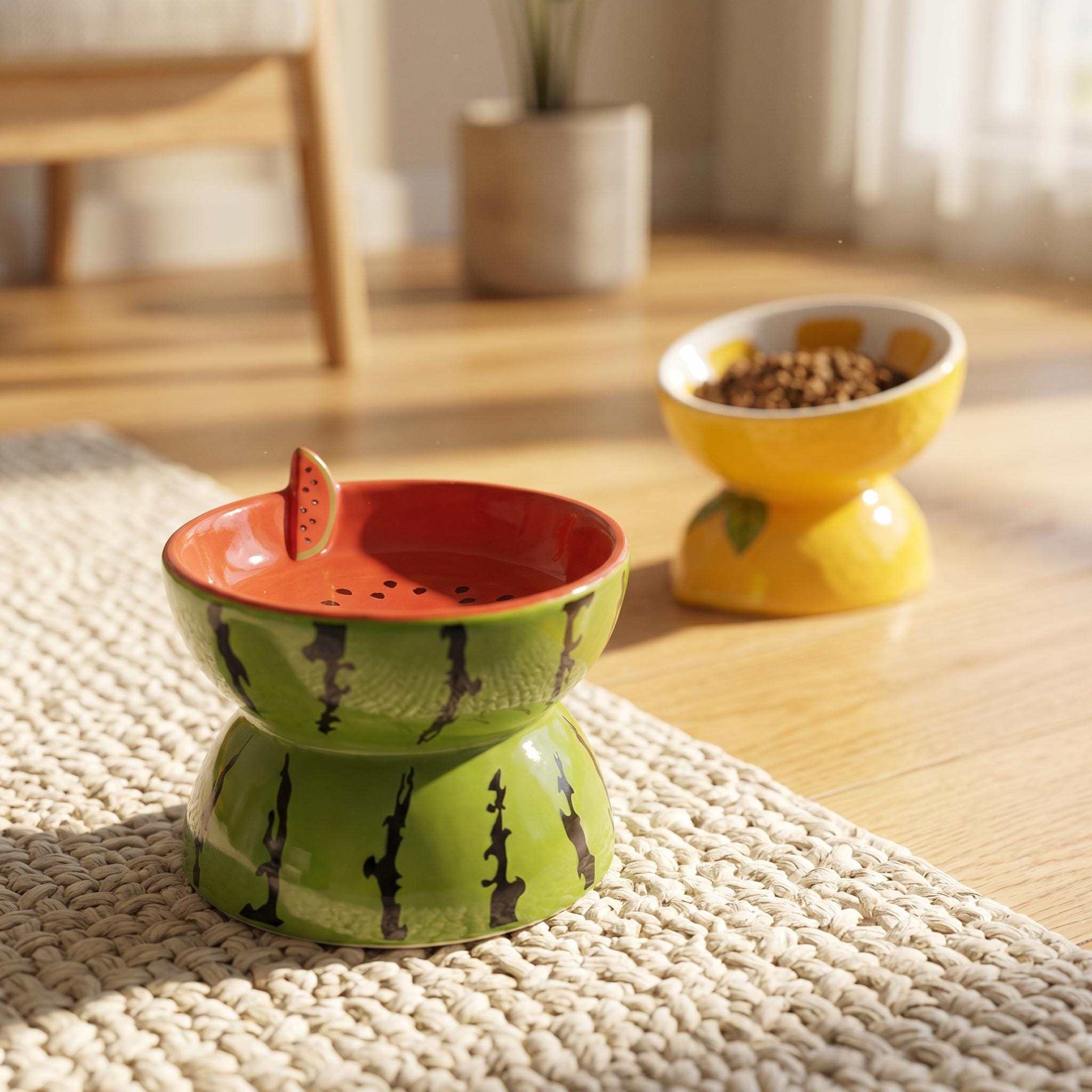 Ceramic Fruit Pet Bowl Set Elevated Watermelon, Orange, Strawberry Designs - Image 6
