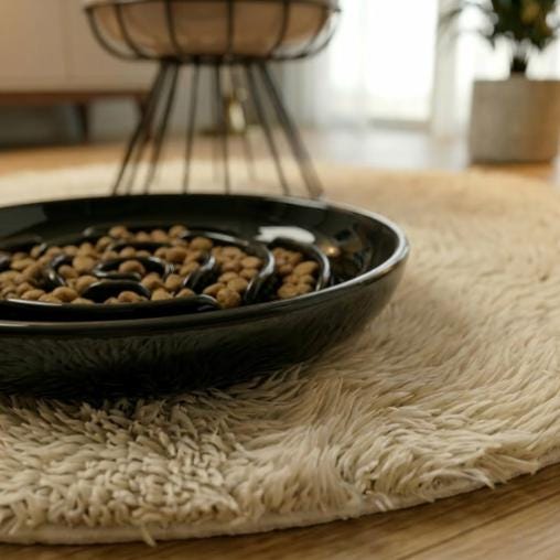 Ceramic Slow Feeder Pet Bowl, Maze Design Cat Dog Food Dish, Anti Gulping Plate - Image 2